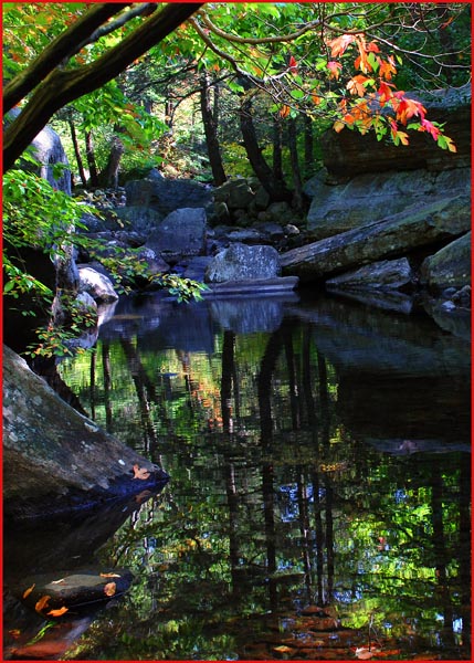 Stoney Brook